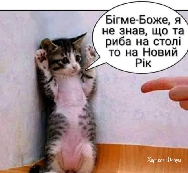 77f1c15986f2ffe42ea.webp