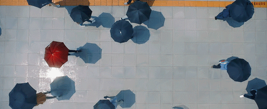 77f5235caea61551ac05744c9340b18eb982f766.gif
