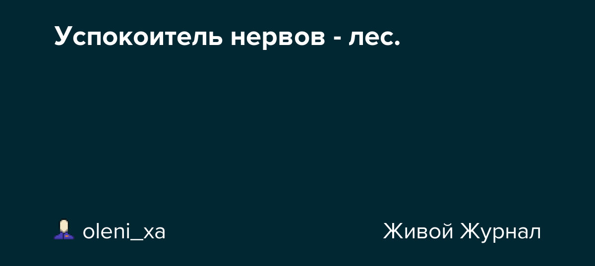 7804?v=1607007544.png