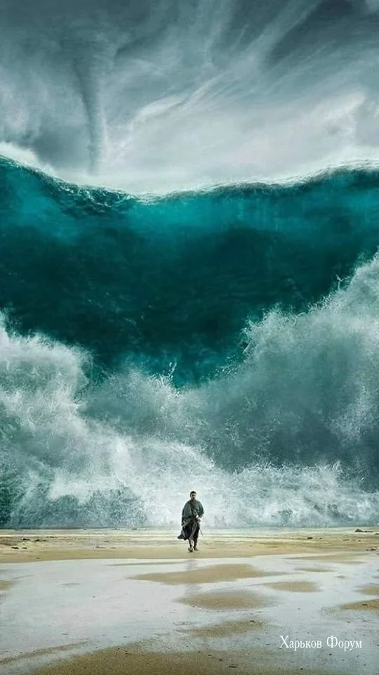 782360353a6f767eac66.webp