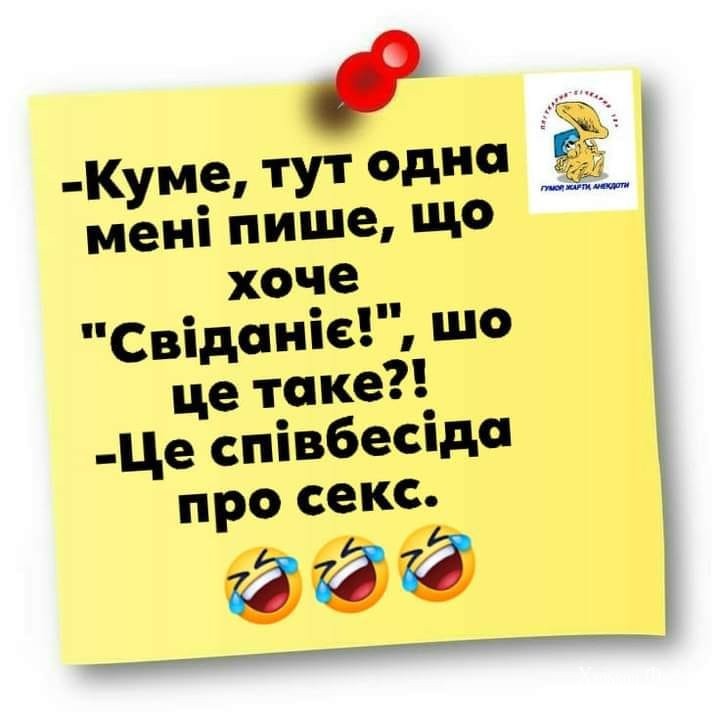 782670b8d5887ee13.jpg