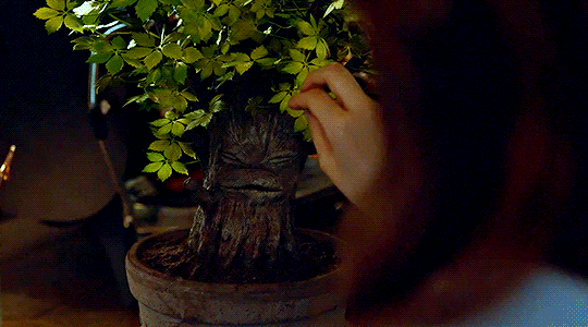 7829d60b7f8eac2fc8b2167ce3a3511ba77cff8f.gif