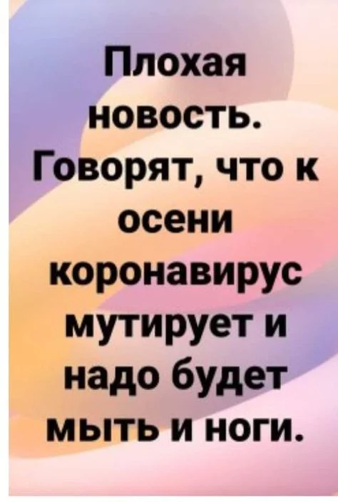 783bedc82c1d6ce22e2343996229c419.webp