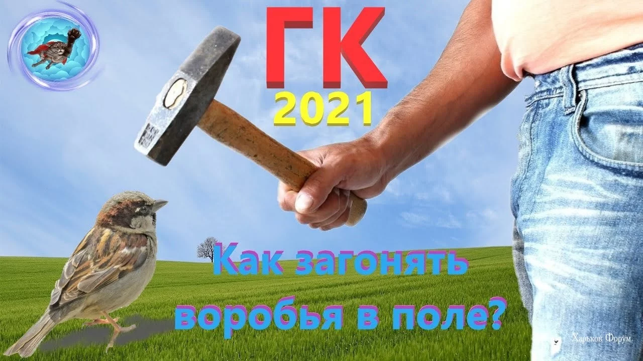 7846ec580bbf4e6e8a5ae.webp
