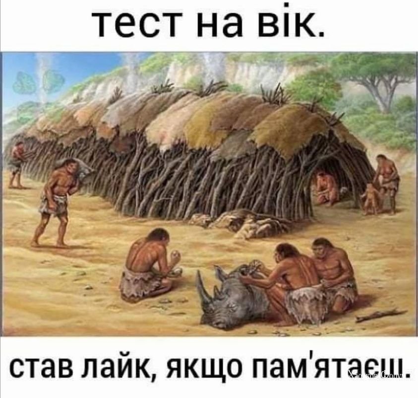 784e374690934dcd9a5.jpg