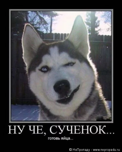 785c78.webp