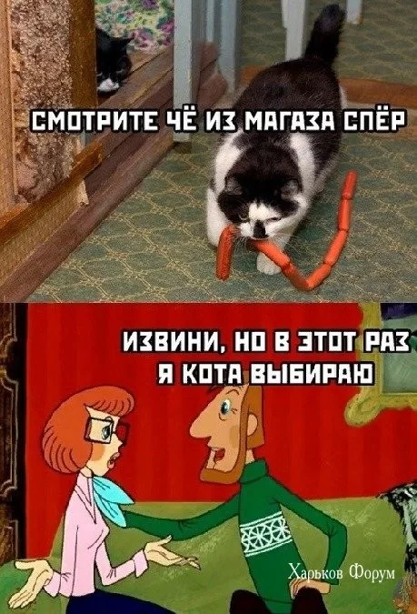 78605cc78a6408937556.webp