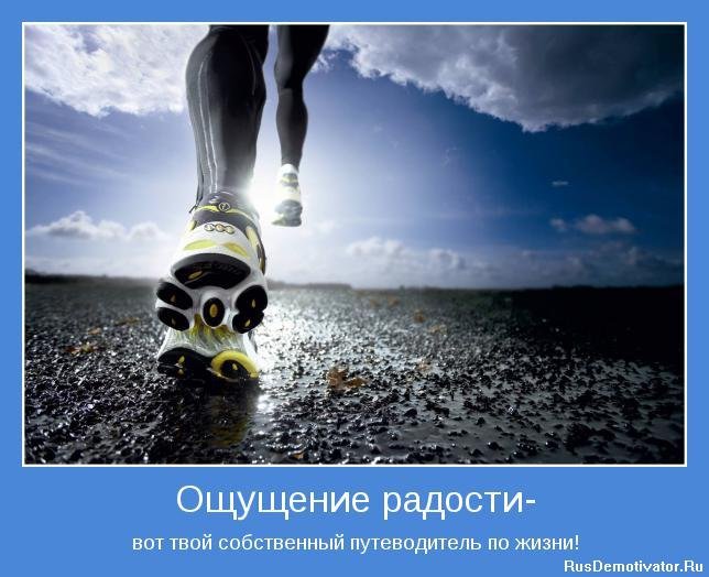 786_1286471737_1273745297_1270225479_motivator4018.jpg