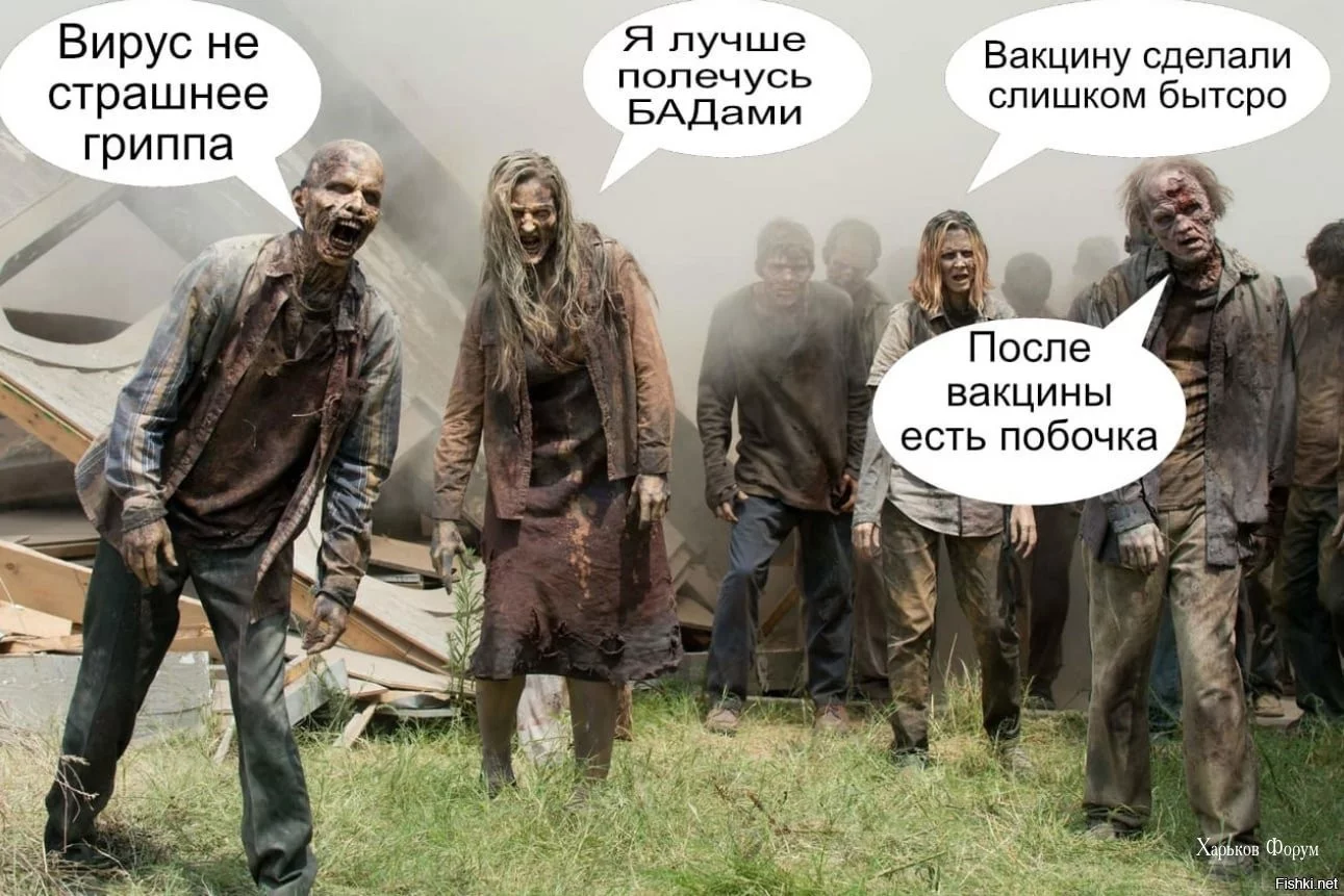 7881288965d86079.webp