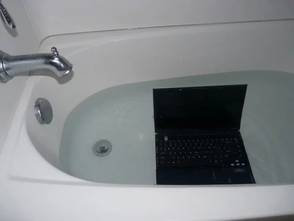 7881672.webp