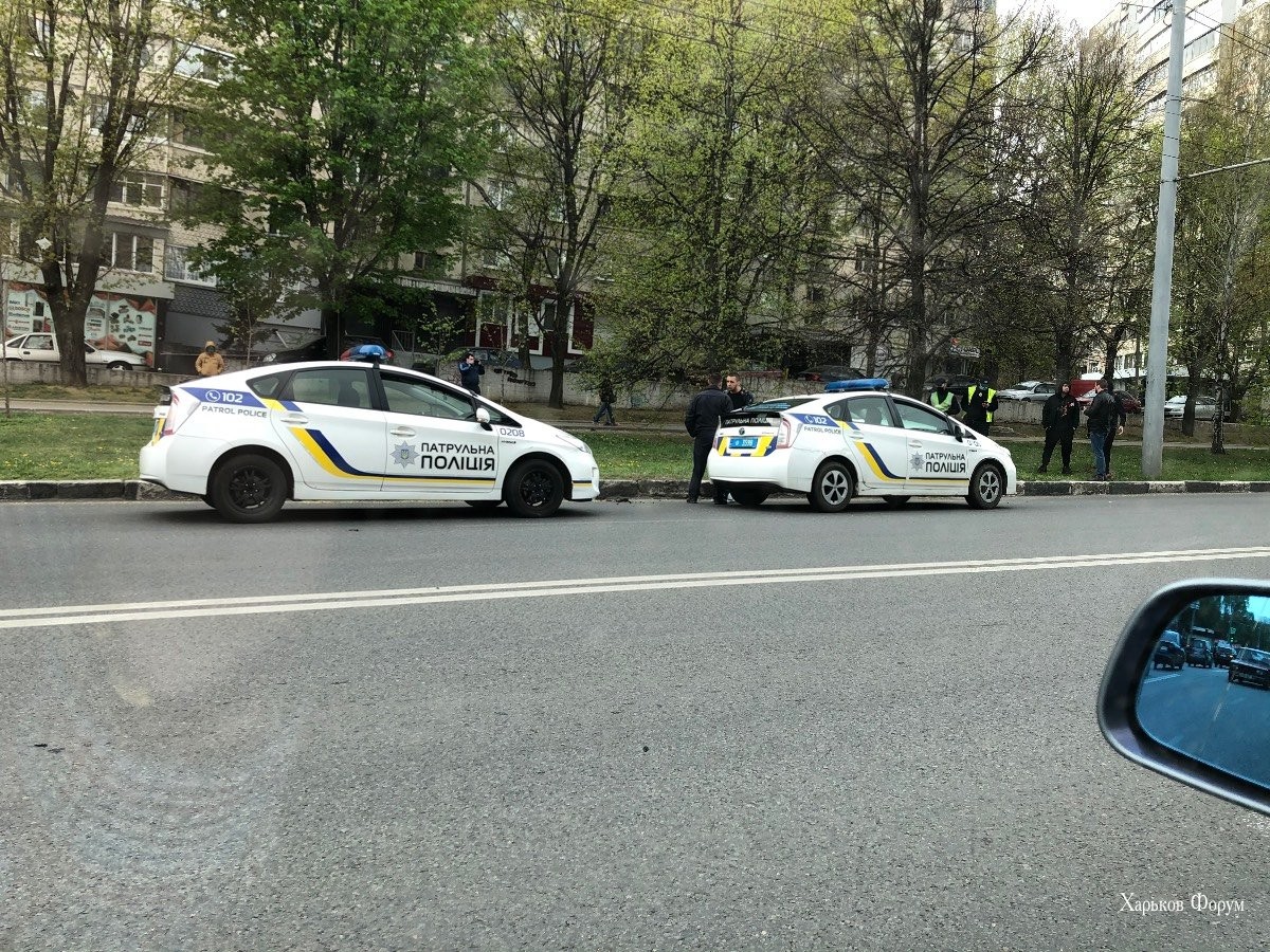 78a311cb079d5c523ec01f0.jpg