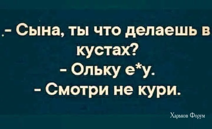 78b607399ddeb7a4970c62.webp