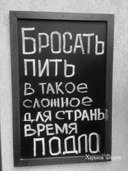 78d063446333d483a11.webp