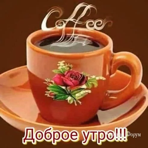 78e0ed5030d6f7fc98dbf.webp