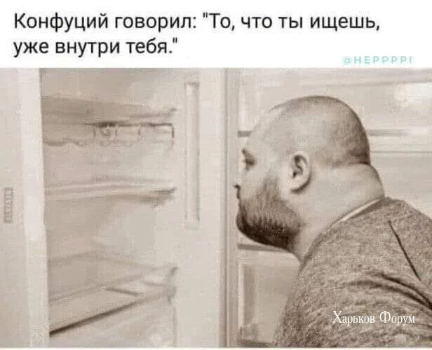 78e506fa4fd6533fc.webp
