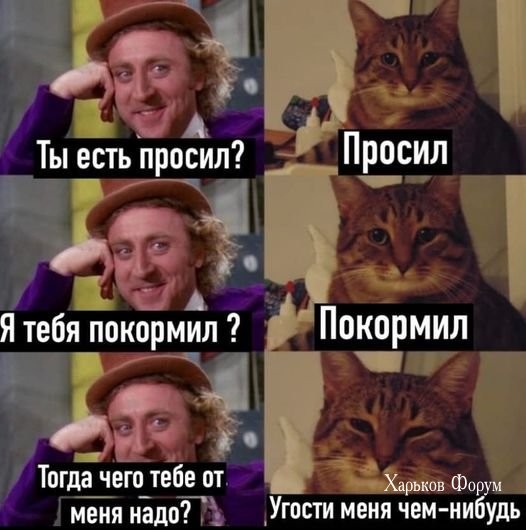 78e9673b30c45b8edb040b.jpg