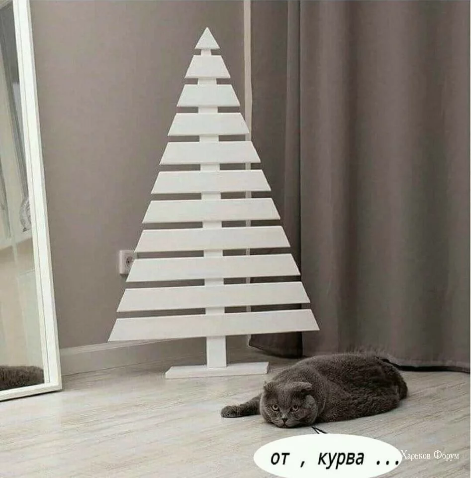 78e9c54bb101ed007.webp
