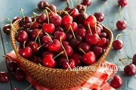 793c8422b3ceee8408885.webp