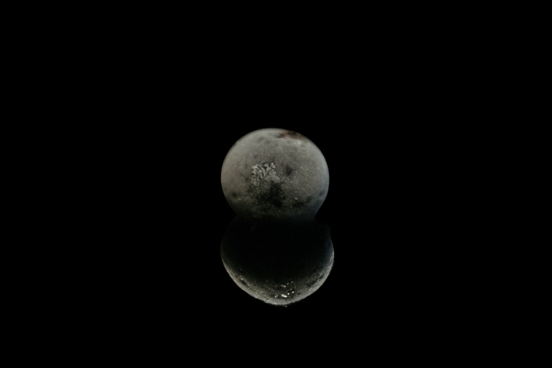 795700.jpg