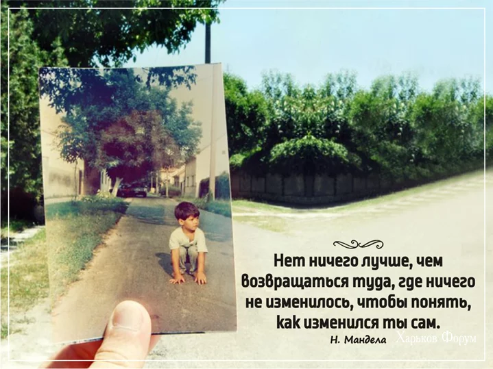 796480d754c8a629.webp