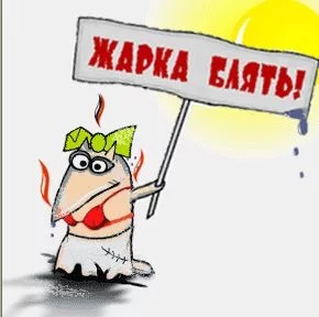 7966462.webp