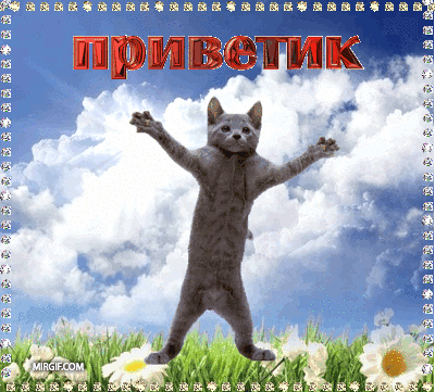 79675389_large_privet3.gif