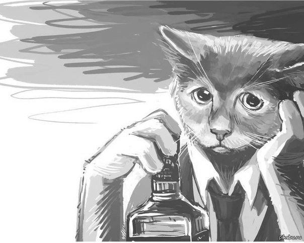 7968868624d50033ce602deddd98d942.png