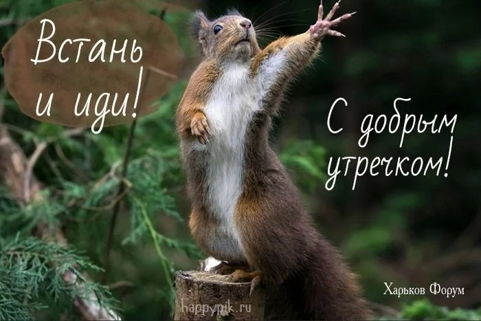 79691c94110de277.webp