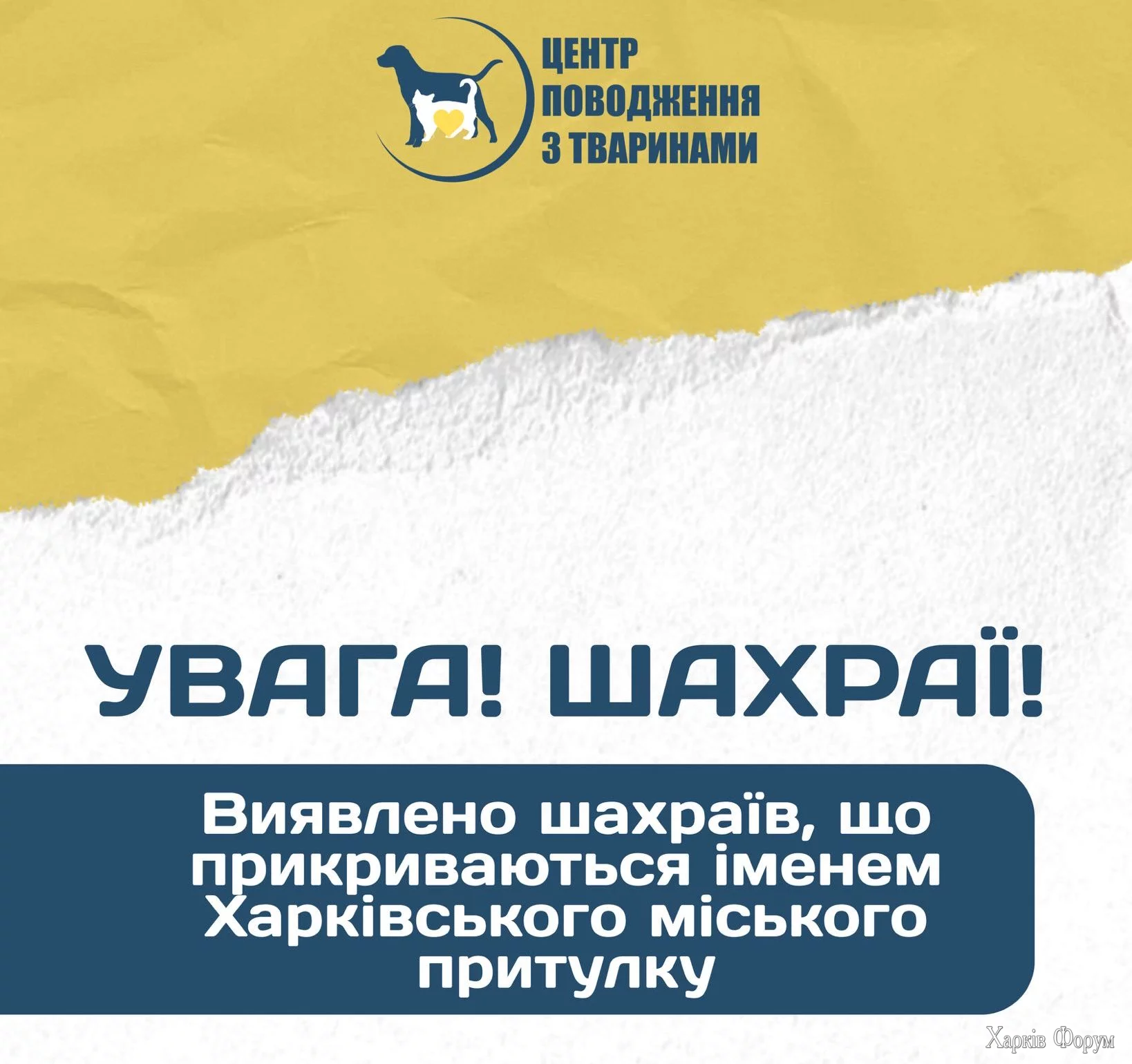7969951781076_8505395702369066951_n-e1761115855128.webp