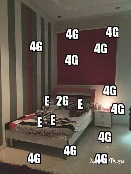 796aae33371814f93.webp