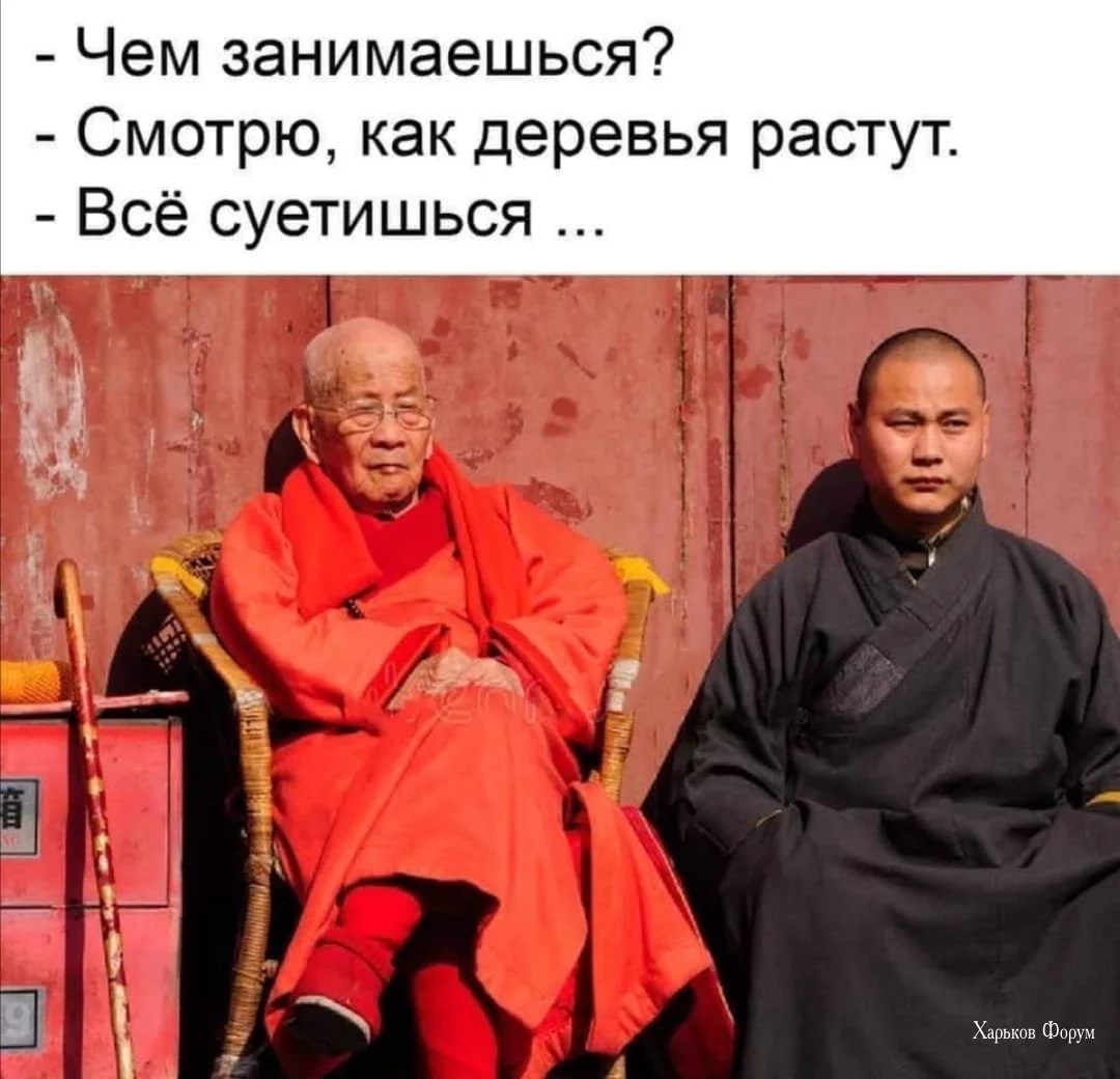 796ff94917f9f31c473d.webp