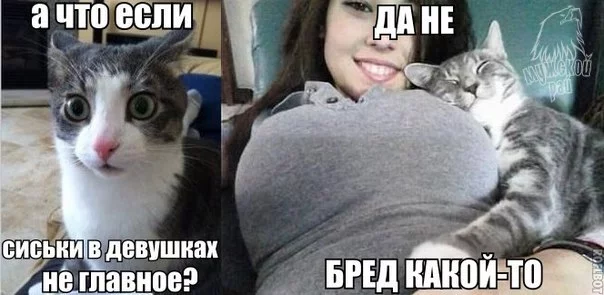 797050e6347203e82c0eaddc0f3a3a47.webp