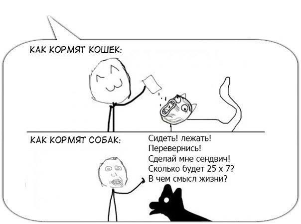 79727297.jpg
