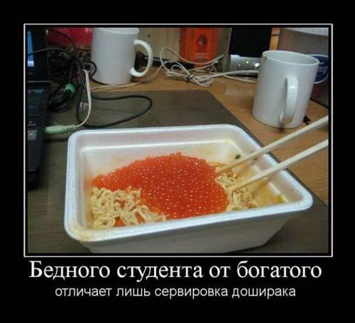798079239.webp