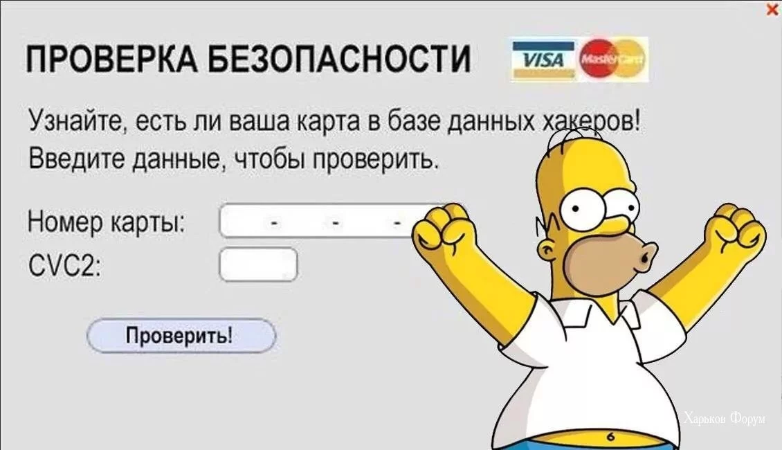 79db87f1b995b286003c0.webp