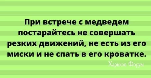 79e55f2cd8d384c79b4.webp