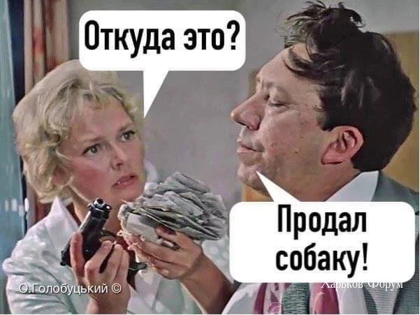 79f3f0df8f9a36e37a5.webp