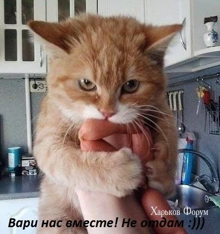 79fd2eb421059a100.webp