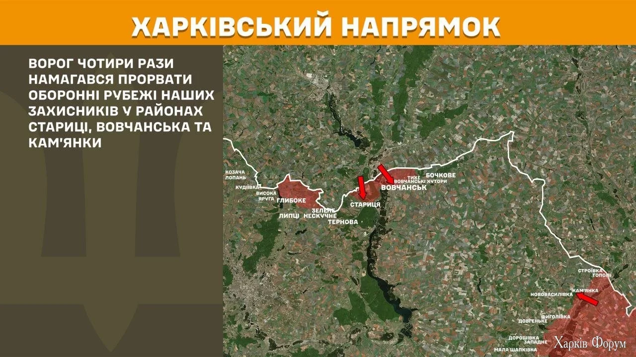 7_683aa4d733a89.webp