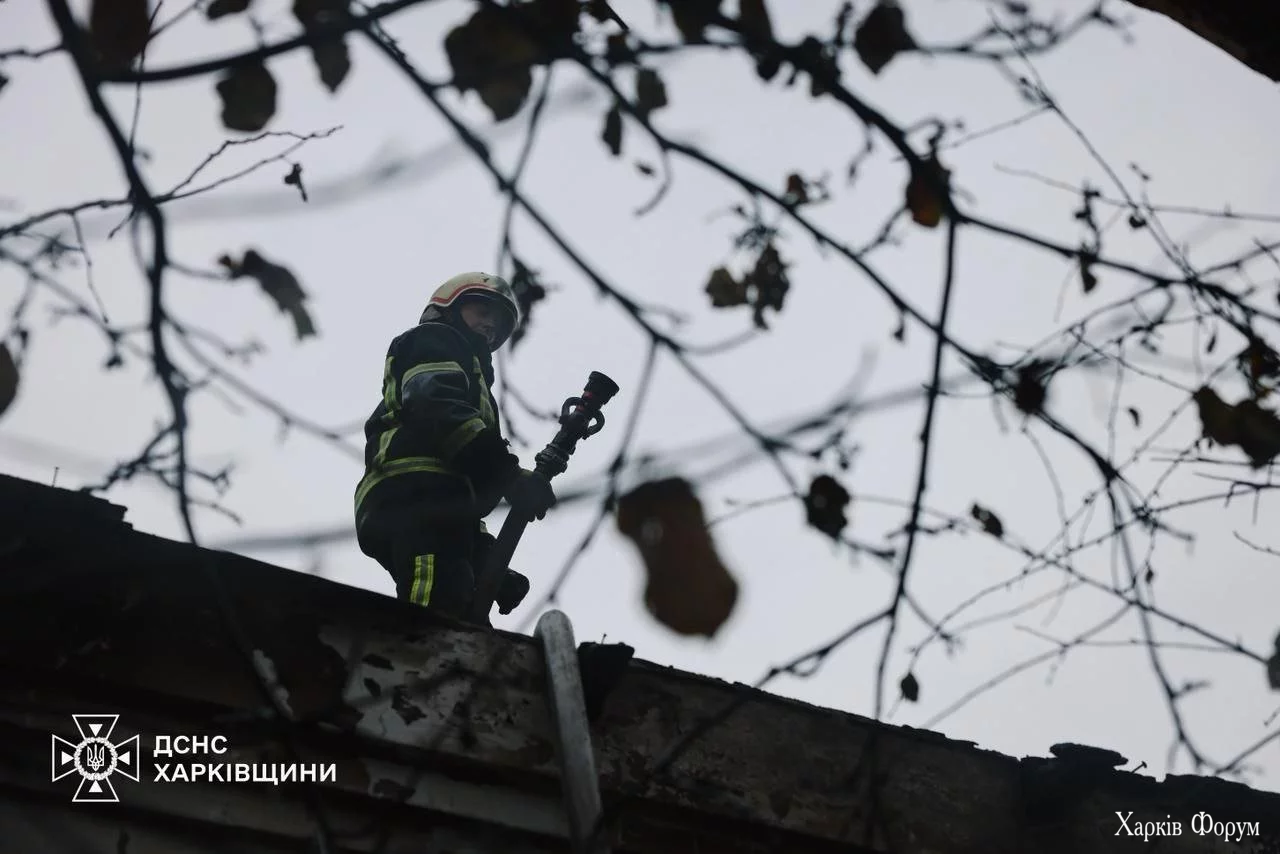 7_69049771cd6d1.webp 7_69049771cd6d1.webp