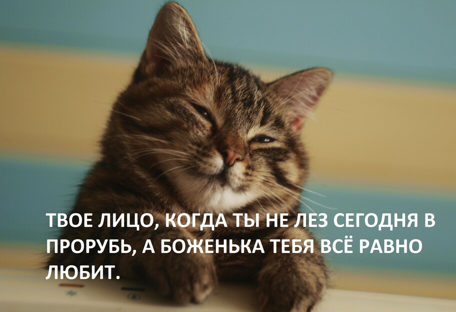 7_large-v1642582091.jpg
