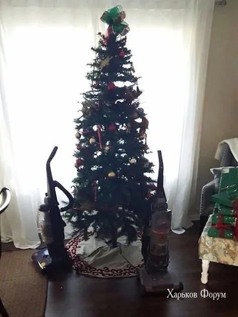 7a3125cf868c068284f20576.webp