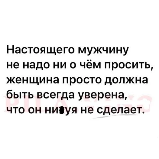 7a42ac10ba0403a54.webp