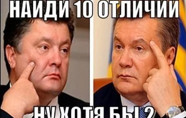 7a531f117a4842fc8822fa8951f3e203.webp