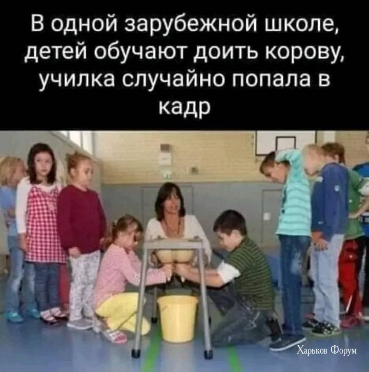 7a5670deecbd0814f80c086.jpg