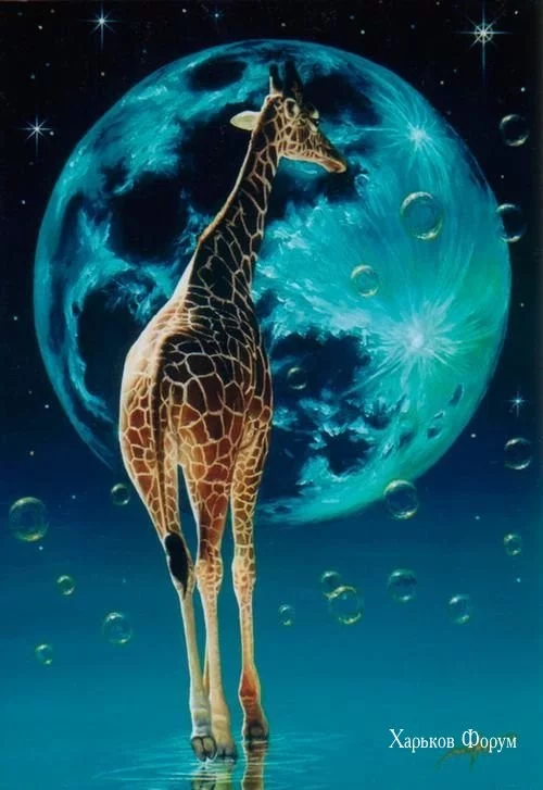 7a8617d13bd06e57f8080fd.webp