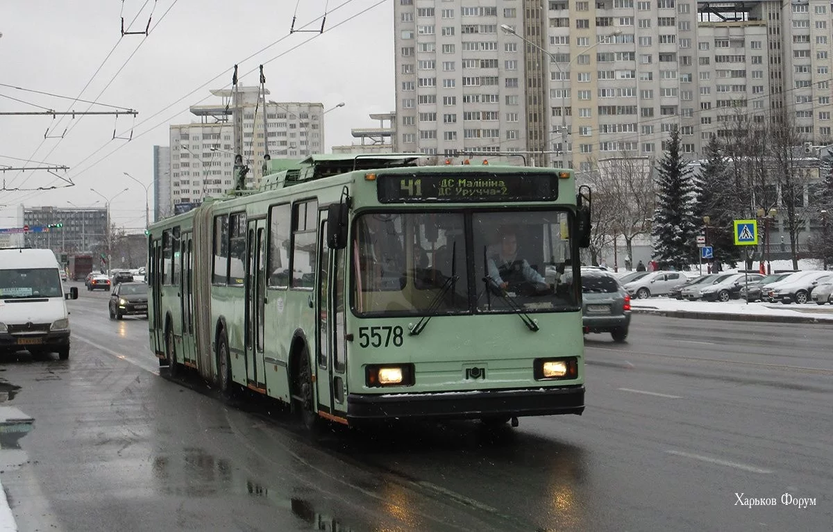 7a95b636ba2583cfbc08.webp