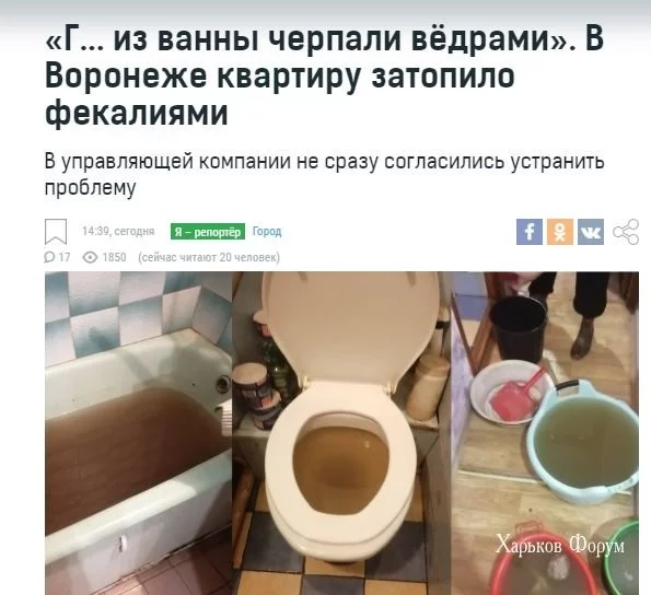 7ab38ab526eb7f3430a1c2e.webp