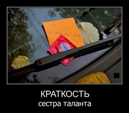7ad1b7bd7429acf515238afa71b3b80e.jpg