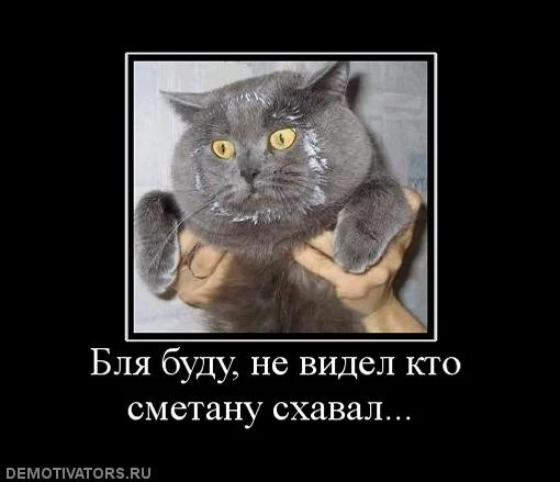 7adbjc.webp